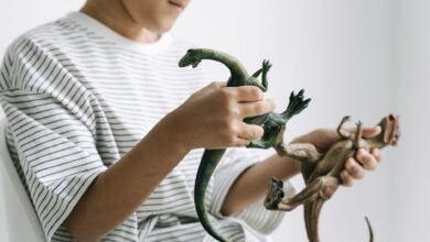 A child in a striped shirt engaging with toy dinosaurs in a playful setting.