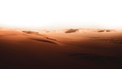 Stunning view of sand dunes in the Sahara Desert, capturing the arid and desolate beauty of Ouargla, Algeria.