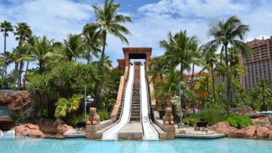 Experience thrilling leisure at Atlantis waterpark, Bahamas with lush tropical scenery.