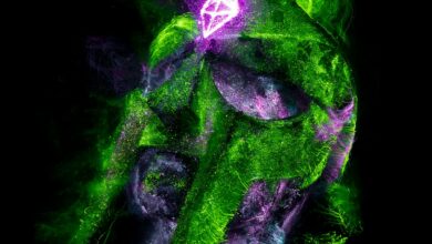 A stunning neon abstract artwork featuring vivid green and purple hues with a surreal texture.