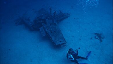 A scuba diver explores a submerged shipwreck deep underwater, capturing adventure and exploration.