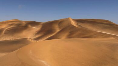 Golden sand dunes under clear blue skies in Swakopmund, Namibia.