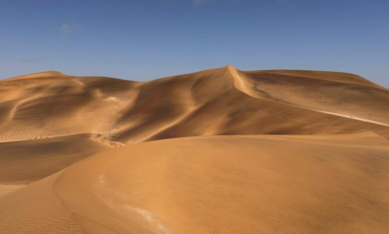 Golden sand dunes under clear blue skies in Swakopmund, Namibia.