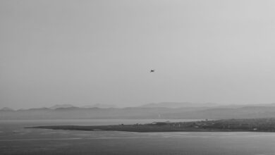 Black and white aerial view of Nice, France, with coastline and airplane in flight.