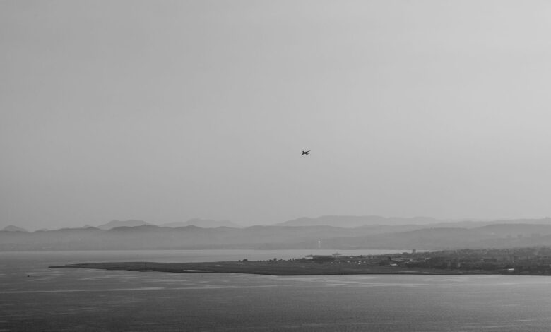 Black and white aerial view of Nice, France, with coastline and airplane in flight.