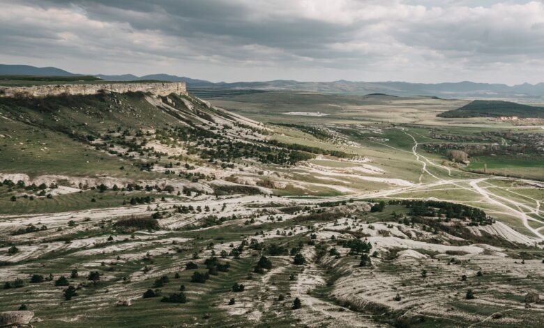 Vast hilly terrain with verdant trees and glades surrounded with trees under gray gloomy sky