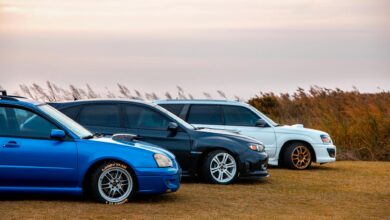 Three sporty cars parked on grass in a lineup during sunset.