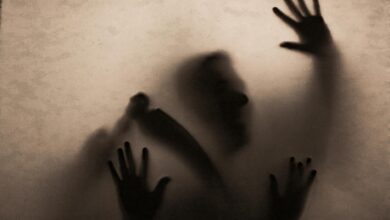Shadowy figure holding a scythe behind fabric, creating an eerie and mysterious atmosphere.