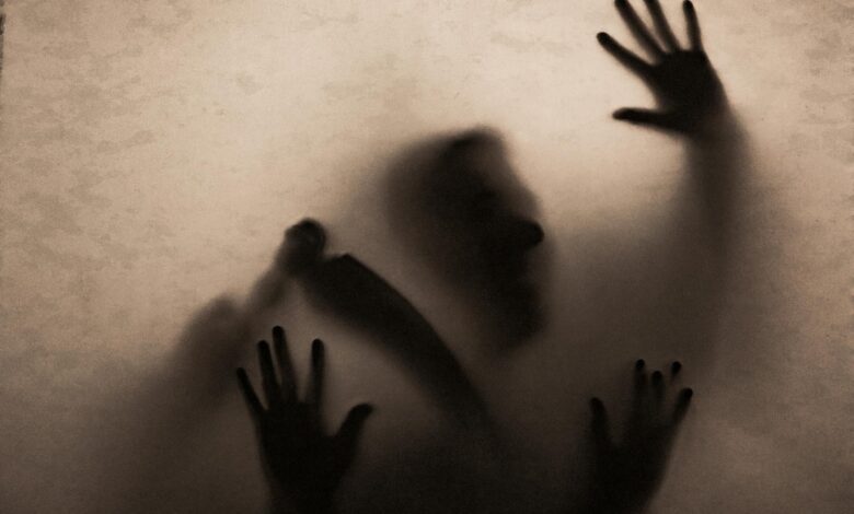 Shadowy figure holding a scythe behind fabric, creating an eerie and mysterious atmosphere.