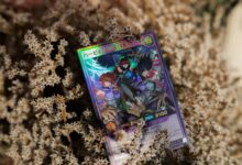 Vibrant trading card featuring anime artwork, placed on dried foliage. Perfect for collectors and hobbyists.