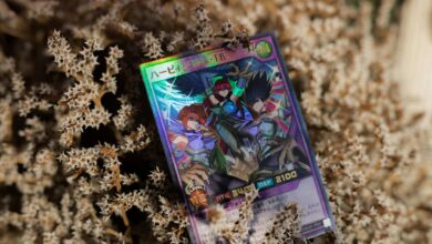 Vibrant trading card featuring anime artwork, placed on dried foliage. Perfect for collectors and hobbyists.