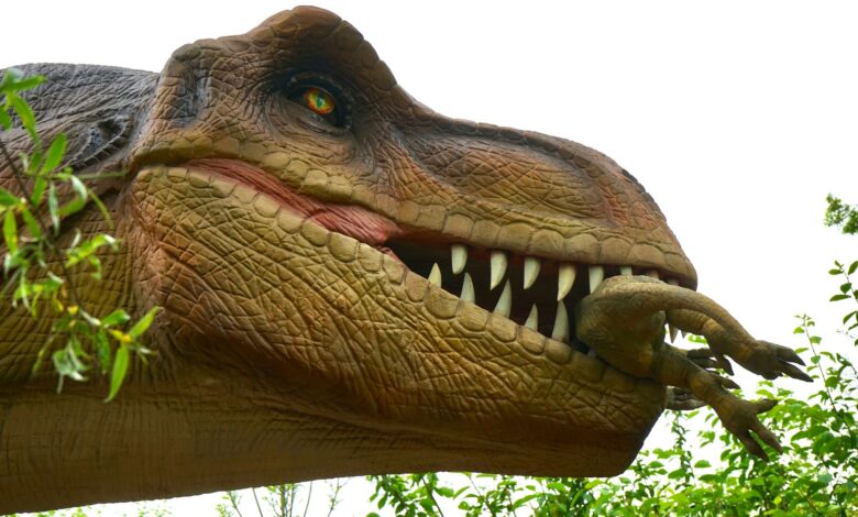 Detailed image of a Tyrannosaurus rex model in an outdoor setting, showcasing teeth and predator features.