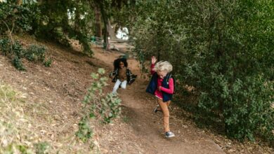 Two children joyfully running along a forest trail, surrounded by lush greenery.