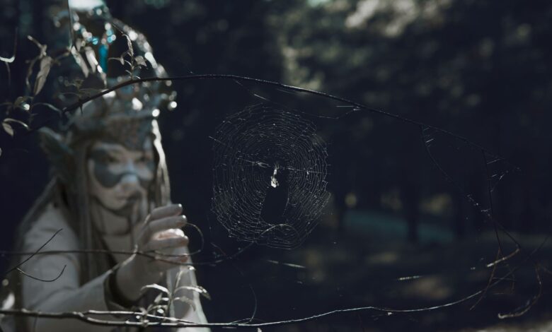 Enchanting forest scene with a masked figure interacting with a spider web.