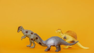 Three dinosaur toy figurines on a vibrant yellow background, ideal for playful concepts.