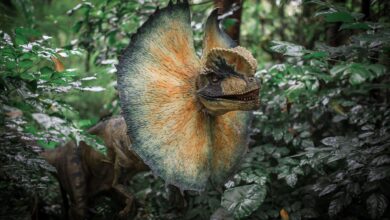A lifelike depiction of a Dilophosaurus set in a vibrant jungle forest scene, evoking the prehistoric era.