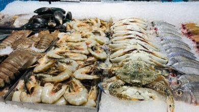 Close-up of fresh seafood including shrimps, crabs, and fish on ice at a market.