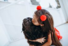 Cute girl embracing and kissing fluffy dog while entertaining at home at weekend