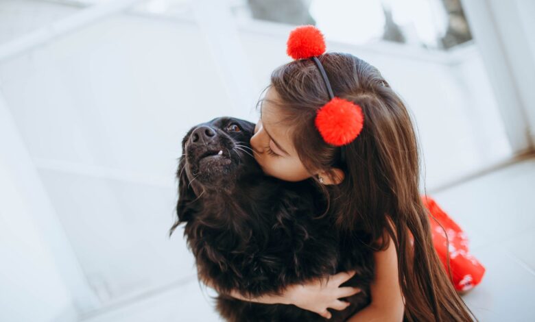Cute girl embracing and kissing fluffy dog while entertaining at home at weekend