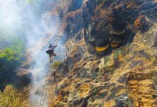 Adventurous honey collector climbs rocky cliff with smoke for wild bees in Nepal.