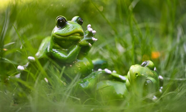 Playful ceramic frog sculptures resting on grass, embodying a whimsical and fun outdoor setting.