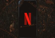 Smartphone with Netflix logo on screen, surrounded by dry leaves outdoors.