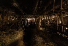 Dimly lit rustic barn interior filled with hay and wooden structures. Captures vintage agricultural ambiance.