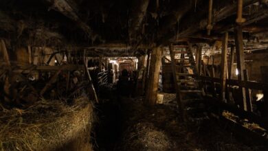 Dimly lit rustic barn interior filled with hay and wooden structures. Captures vintage agricultural ambiance.