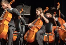 Orchestra cellists performing classical music in an indoor concert setting.