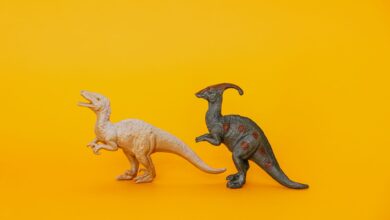 Two dinosaur toy figurines displayed against a vibrant yellow background, fostering imagination and play.