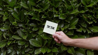 A hand holding a card with TikTok text against a lush green leafy background.