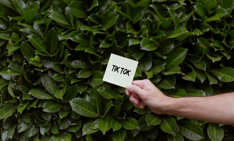 A hand holding a card with TikTok text against a lush green leafy background.