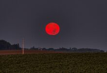 Capture of a vivid red harvest moon rising over lush farmland in Minnesota, USA.