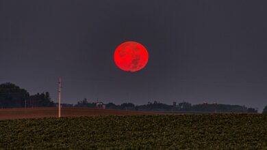 Capture of a vivid red harvest moon rising over lush farmland in Minnesota, USA.