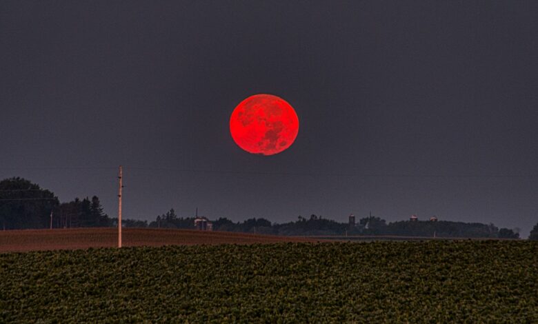 Capture of a vivid red harvest moon rising over lush farmland in Minnesota, USA.