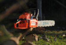 Red chainsaw on a tree log in an outdoor setting, highlighting cutting tools and equipment.