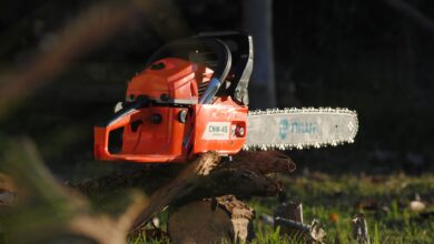 Red chainsaw on a tree log in an outdoor setting, highlighting cutting tools and equipment.