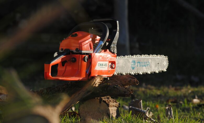 Red chainsaw on a tree log in an outdoor setting, highlighting cutting tools and equipment.