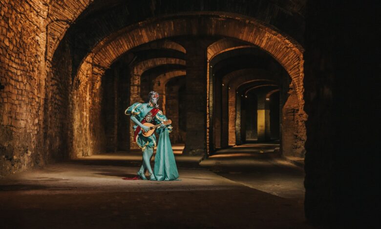A costumed bard playing a lute in a mystical medieval hallway, evoking fantasy themes.