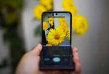 A smartphone capturing vivid yellow flowers, showcasing technology and nature interaction.