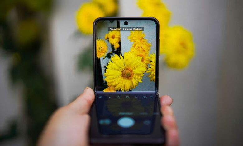 A smartphone capturing vivid yellow flowers, showcasing technology and nature interaction.