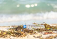 Plastic bottle polluting a sandy beach, highlighting environmental impact.