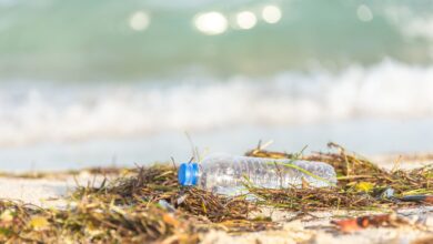 Plastic bottle polluting a sandy beach, highlighting environmental impact.