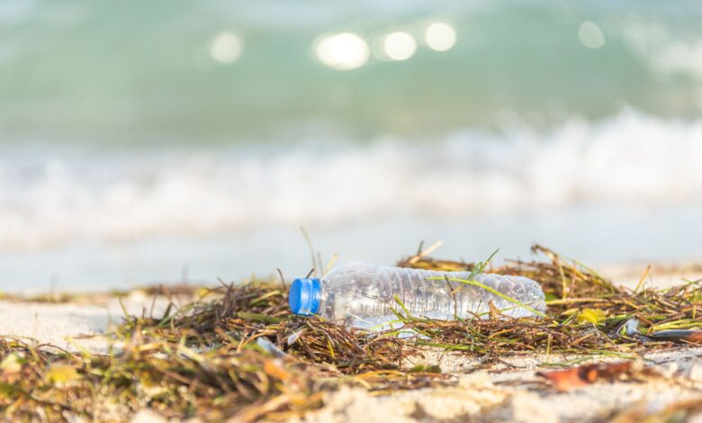 Plastic bottle polluting a sandy beach, highlighting environmental impact.