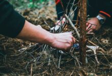 Close-up of hands arranging sticks to start a campfire in a forest adventure setting.