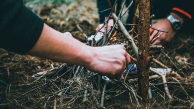 Close-up of hands arranging sticks to start a campfire in a forest adventure setting.