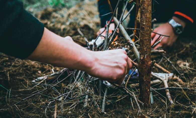 Close-up of hands arranging sticks to start a campfire in a forest adventure setting.