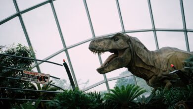 Animatronic T-Rex display in Singapore dome with caution sign amidst lush greenery.
