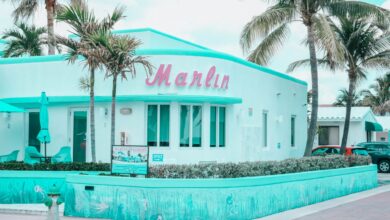 Explore the vibrant Art Deco architecture of Marlin Hotel in Hollywood, FL, with palm trees and a pastel palette.