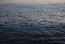 Peaceful ocean surface with gentle waves and sunset reflection. Perfect for calming backgrounds.